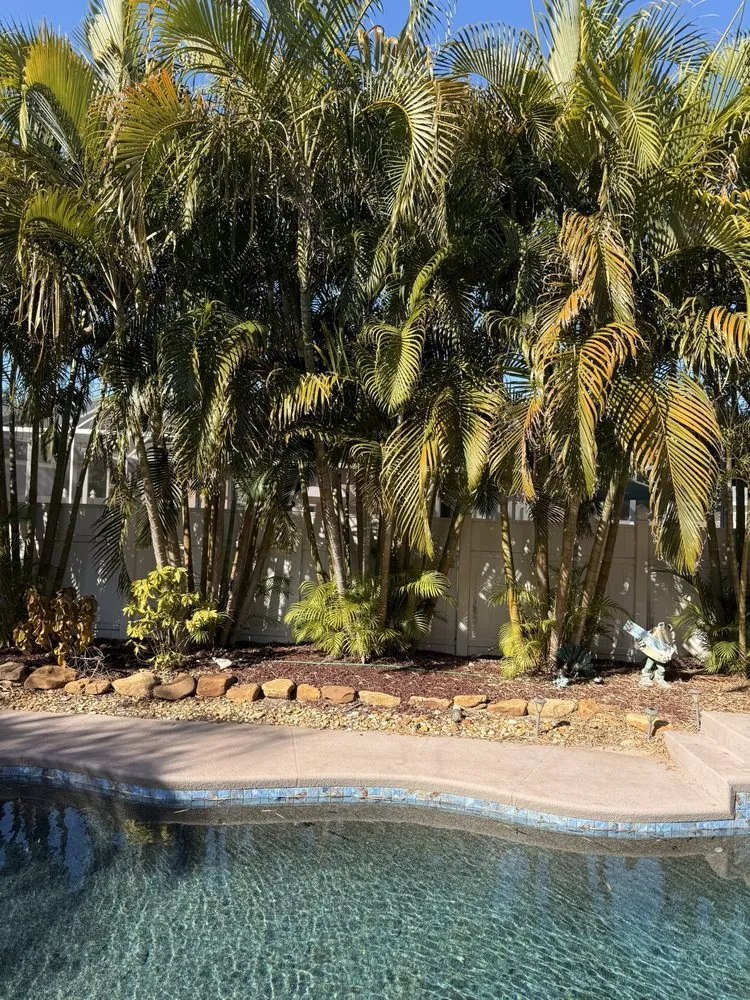 Affordable landscaping services near you in Parrish, FL by Albright Landscaping