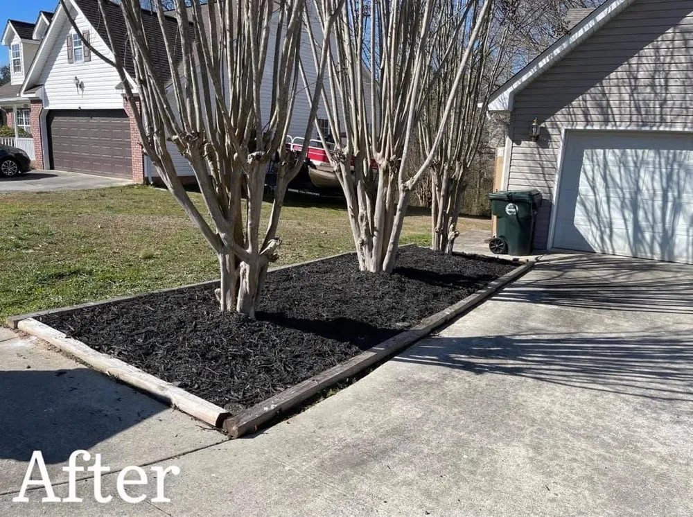 Custom lawn mowing service for year-round maintenance across Chattanooga, TN - Albright Outdoors