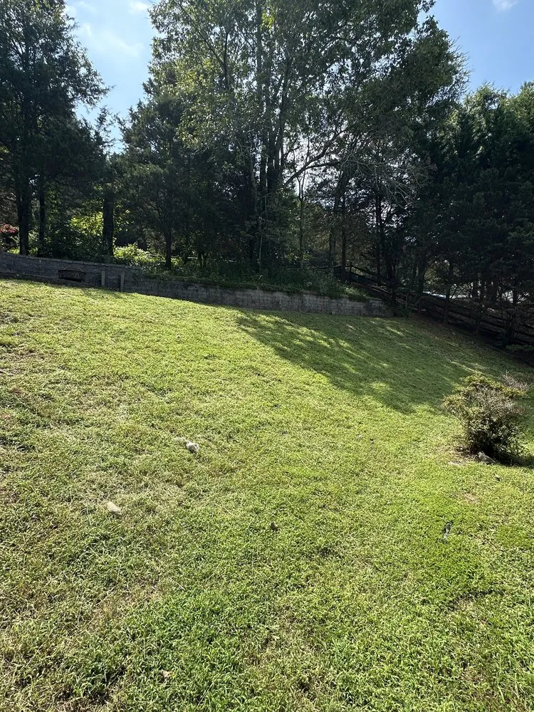 Affordable landscape installation for beautiful yards in Chattanooga, TN by Albright Outdoors