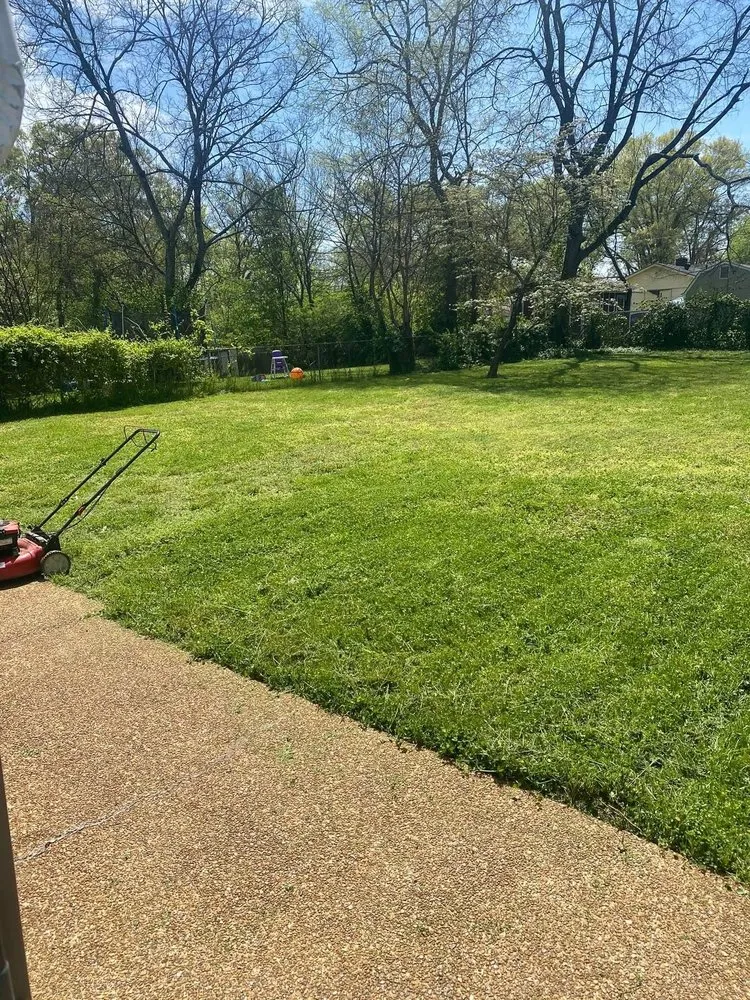 Professional landscape design near you across Chattanooga, TN - Albright Outdoors