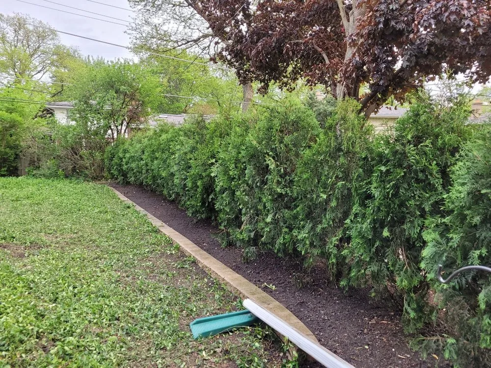 Top-rated lawn mowing service for residential properties in Morton Grove, IL by Albro Land Corporation