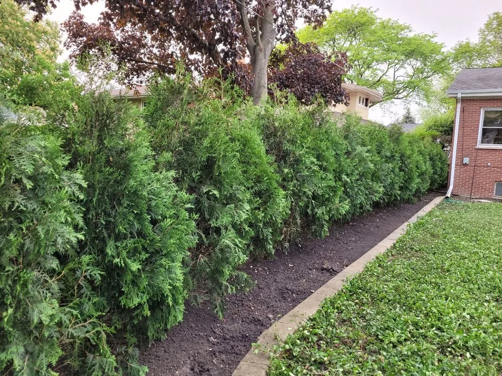 Top-rated landscape design for year-round maintenance across Morton Grove, IL - Albro Land Corporation