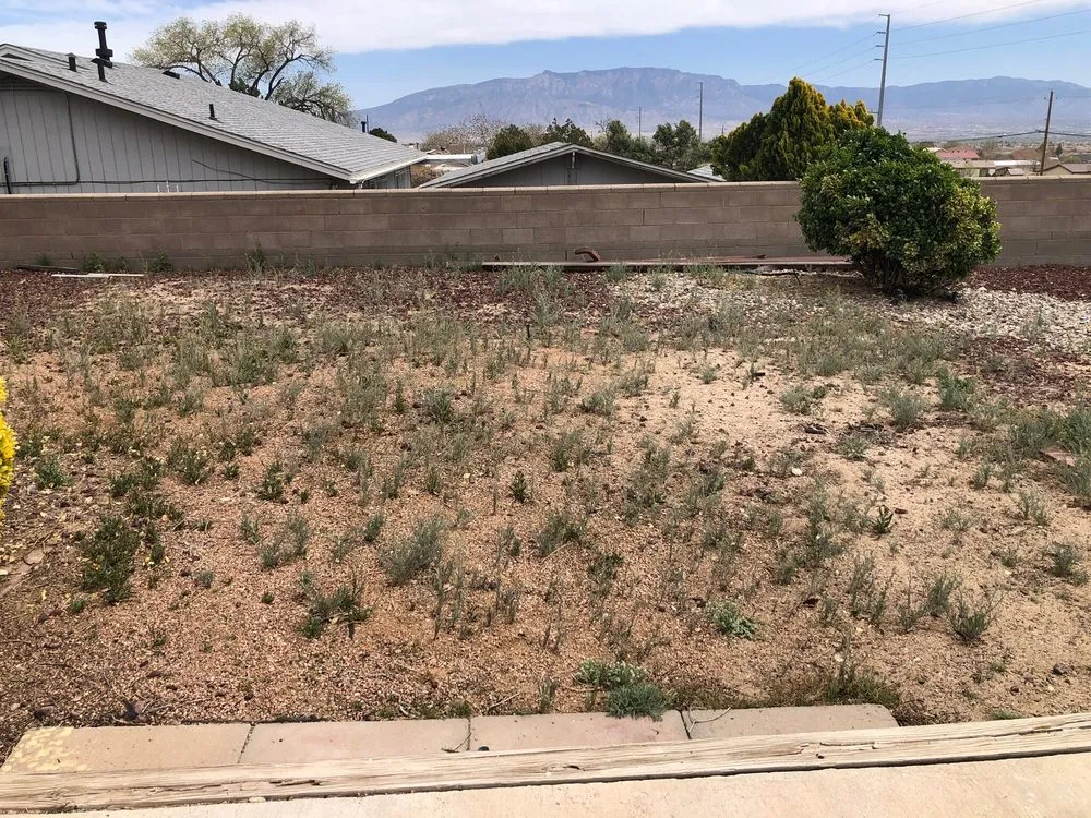 Expert yard maintenance in Albuquerque, NM - Albuquerque Landscapes