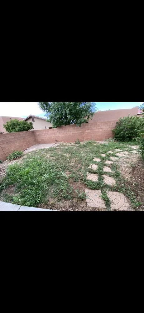 Affordable outdoor landscaping in Albuquerque, NM by Albuquerque Landscapes