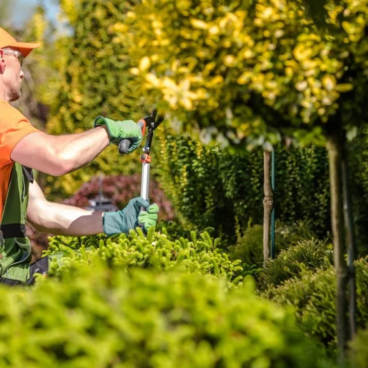 Top-rated lawn mowing service experts serving Albuquerque, NM - Albuquerque NM Landscapers