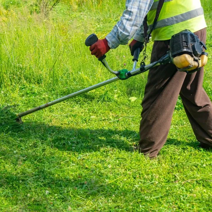 Professional landscape design near you in Albuquerque, NM by Albuquerque NM Landscapers