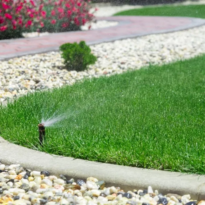 Affordable garden landscaping experts serving Albuquerque, NM - Albuquerque NM Landscapers