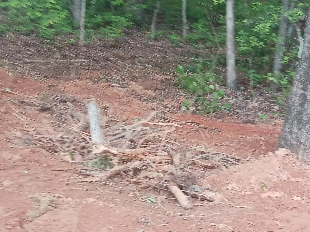 Professional garden landscaping with custom design in Woodstock, GA by ALC Contracting