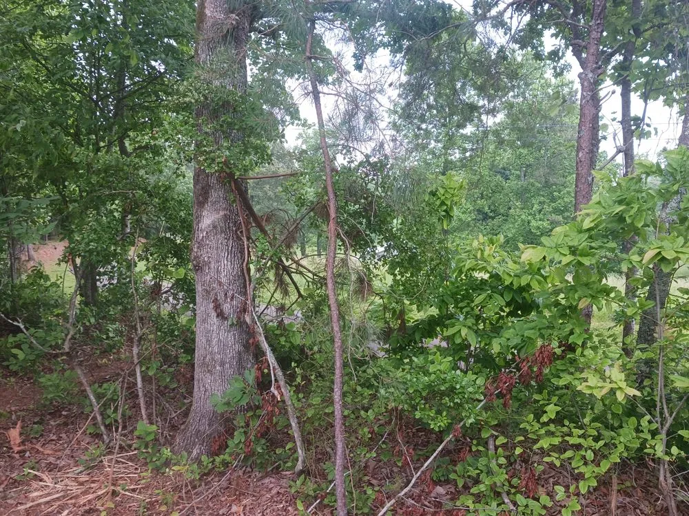 Custom landscaping services in Woodstock, GA by ALC Contracting