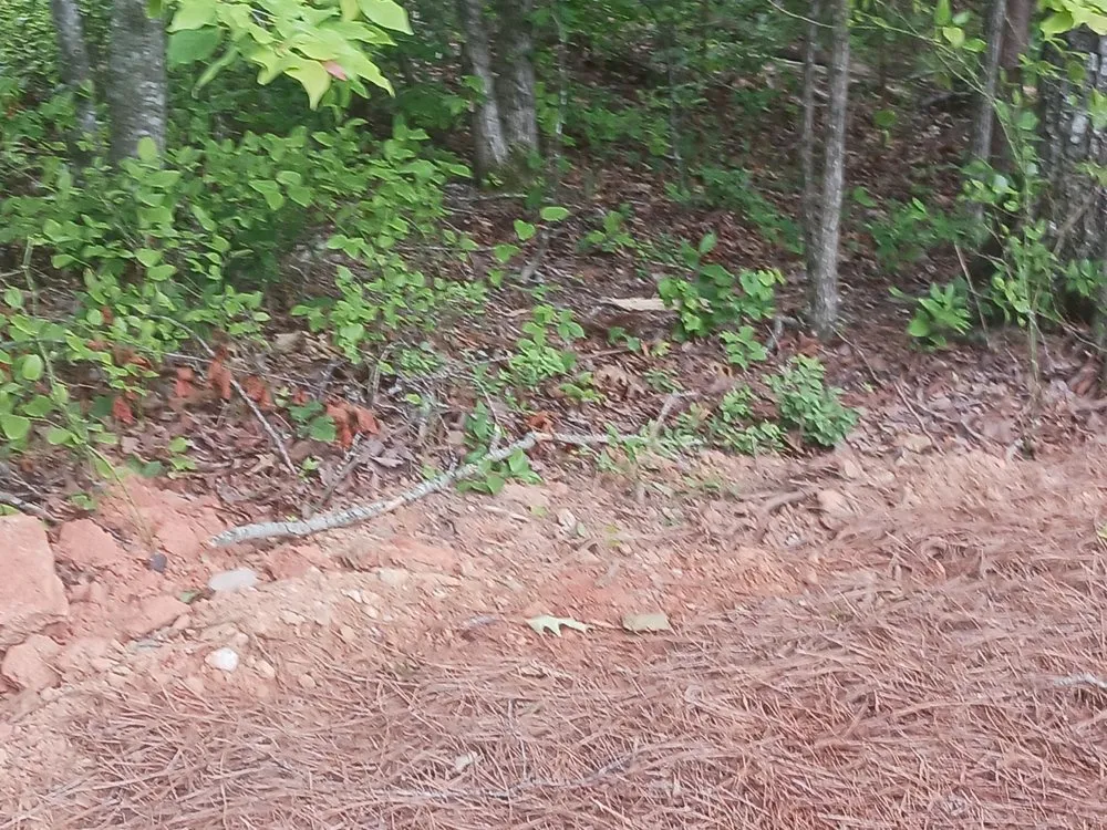 Trusted yard cleanup service for residential properties across Woodstock, GA - ALC Contracting