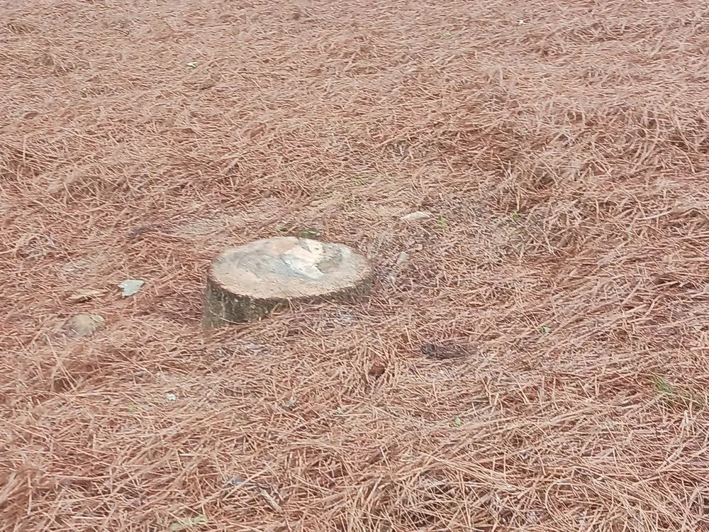 Local outdoor landscaping for beautiful yards across Woodstock, GA - ALC Contracting