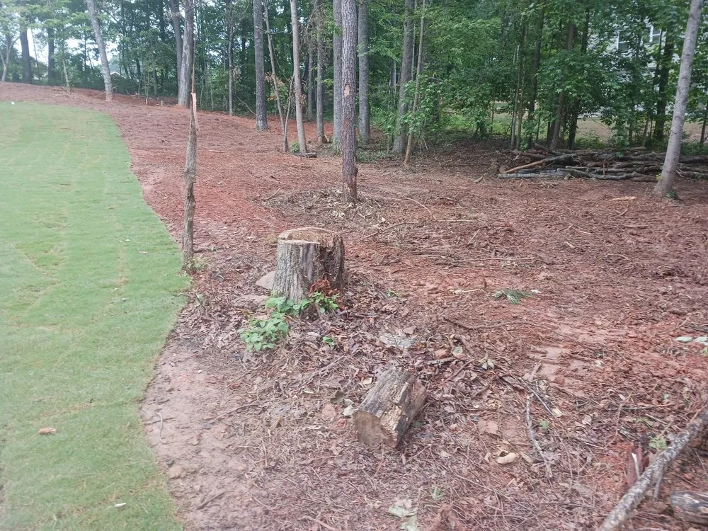 Reliable yard maintenance for year-round maintenance in Woodstock, GA by ALC Contracting