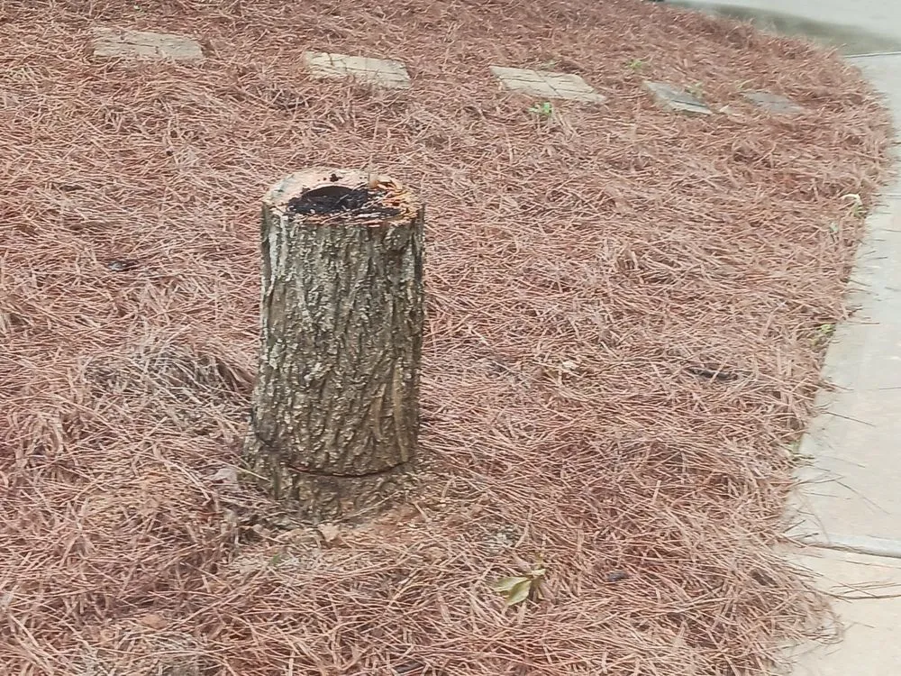 Custom garden landscaping in Woodstock, GA - ALC Contracting