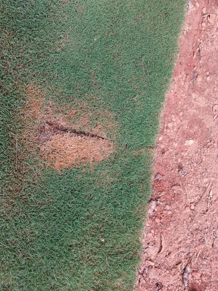 Expert residential landscaping in Woodstock, GA - ALC Contracting