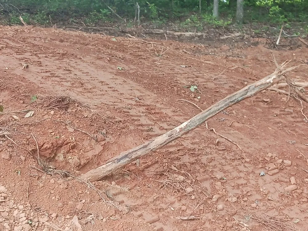 Affordable lawn mowing service in Woodstock, GA by ALC Contracting