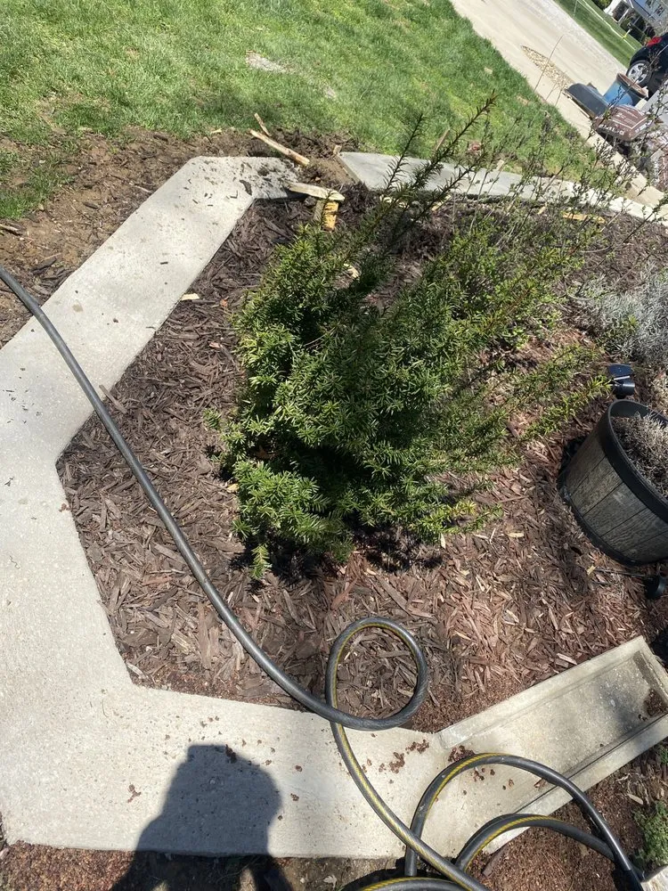 Top-rated yard maintenance experts serving Springfield, IL - Alc Labor Springfield