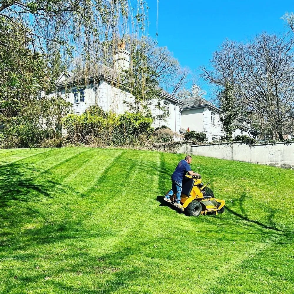 Custom yard cleanup service in Hackensack, NJ by ALC Landscaping & Construction