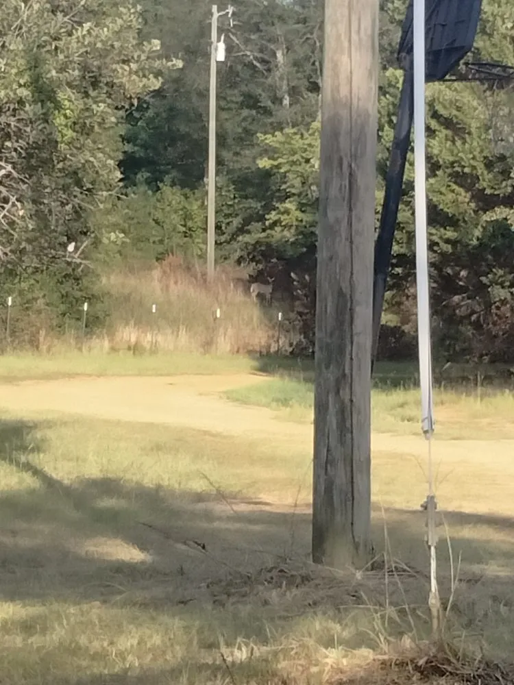 Affordable lawn mowing service experts serving Griffin, GA - ALC Landscaping