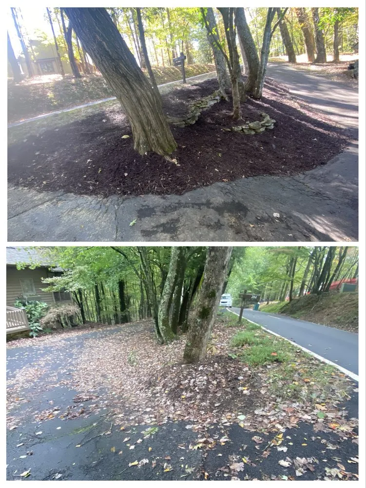 Top-rated landscape design in Jasper, GA - ALC Landscaping