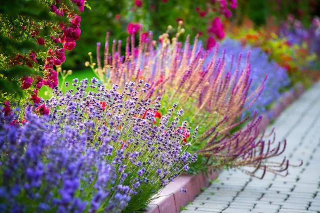 Top-rated lawn mowing service experts serving Visalia, CA - ALC Landscaping