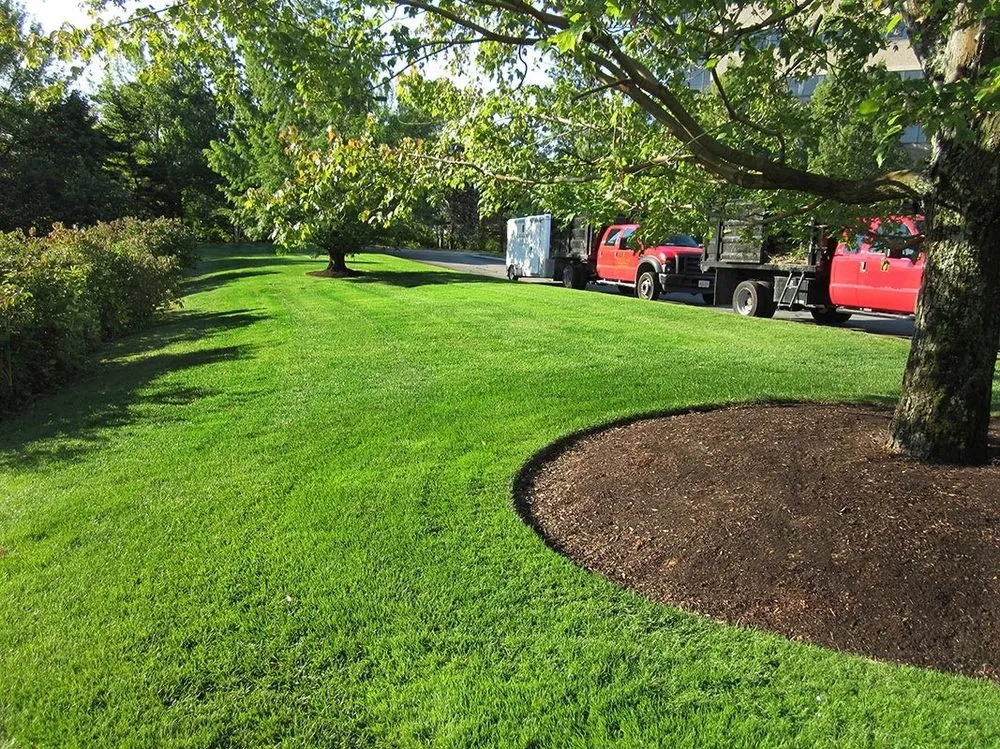 Expert yard cleanup service for beautiful yards in Visalia, CA by ALC Landscaping