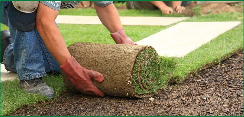 Trusted lawn mowing service in Visalia, CA by ALC Landscaping