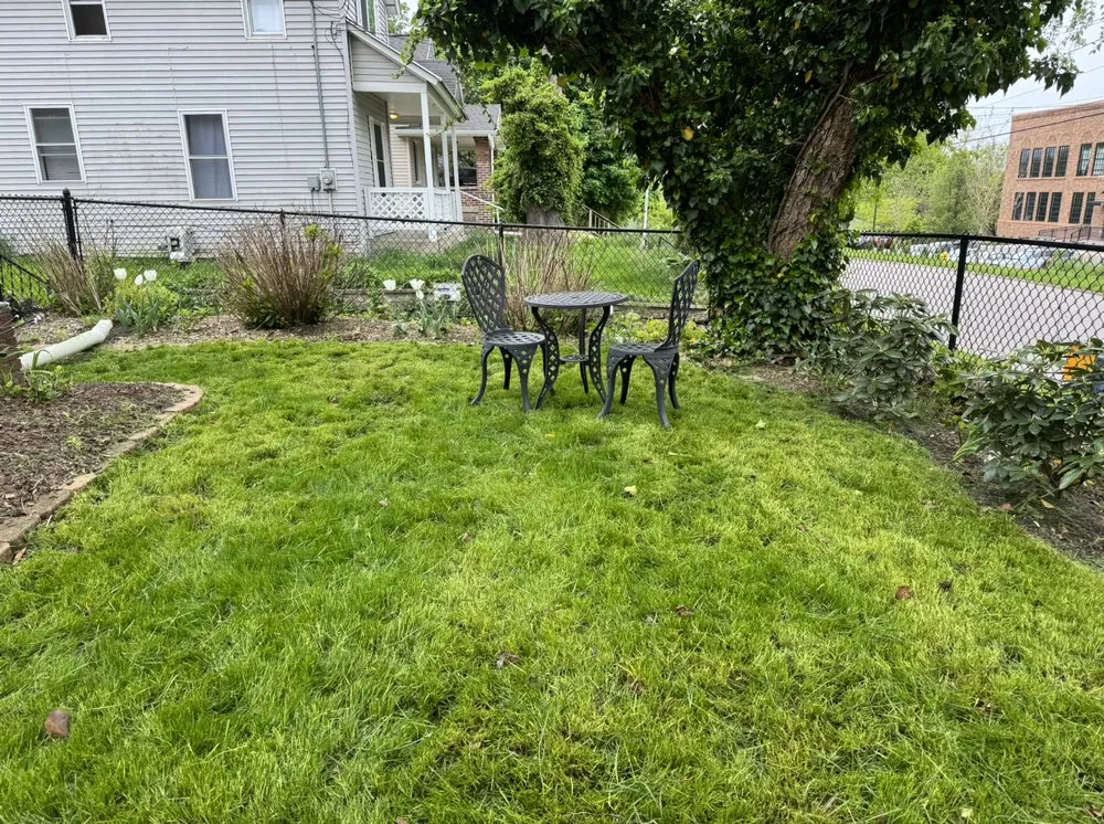 Expert yard maintenance experts serving Grand Rapids, MI - A.L.C. Lawn Care