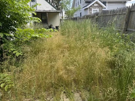 A.L.C. Lawn Care Logo