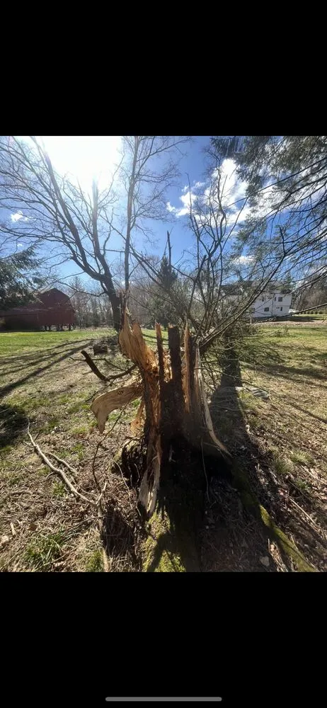 Custom landscape installation in Milford, CT by ALC Lawn Care