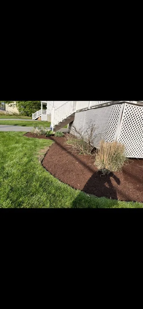 Reliable yard cleanup service in Milford, CT by ALC Lawn Care