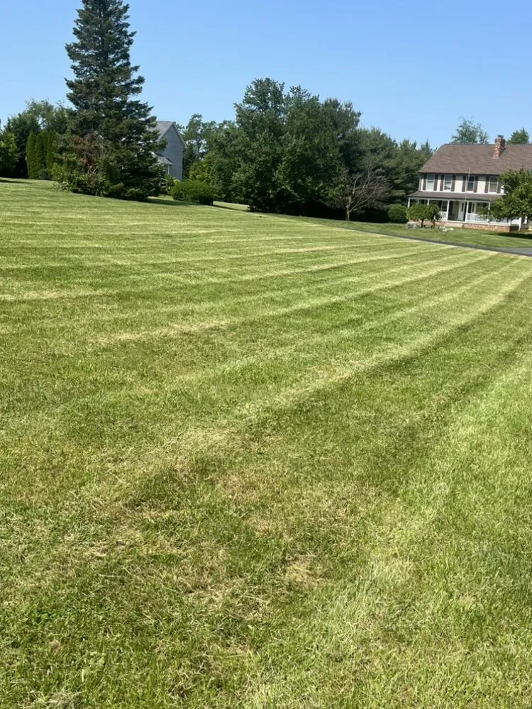 Professional garden landscaping for beautiful yards in White Post, VA by ALC Lawn Service