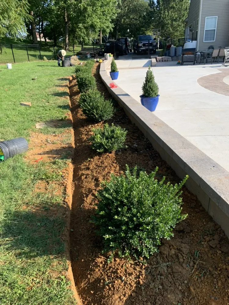 Reliable yard maintenance experts serving White Post, VA - ALC Lawn Service