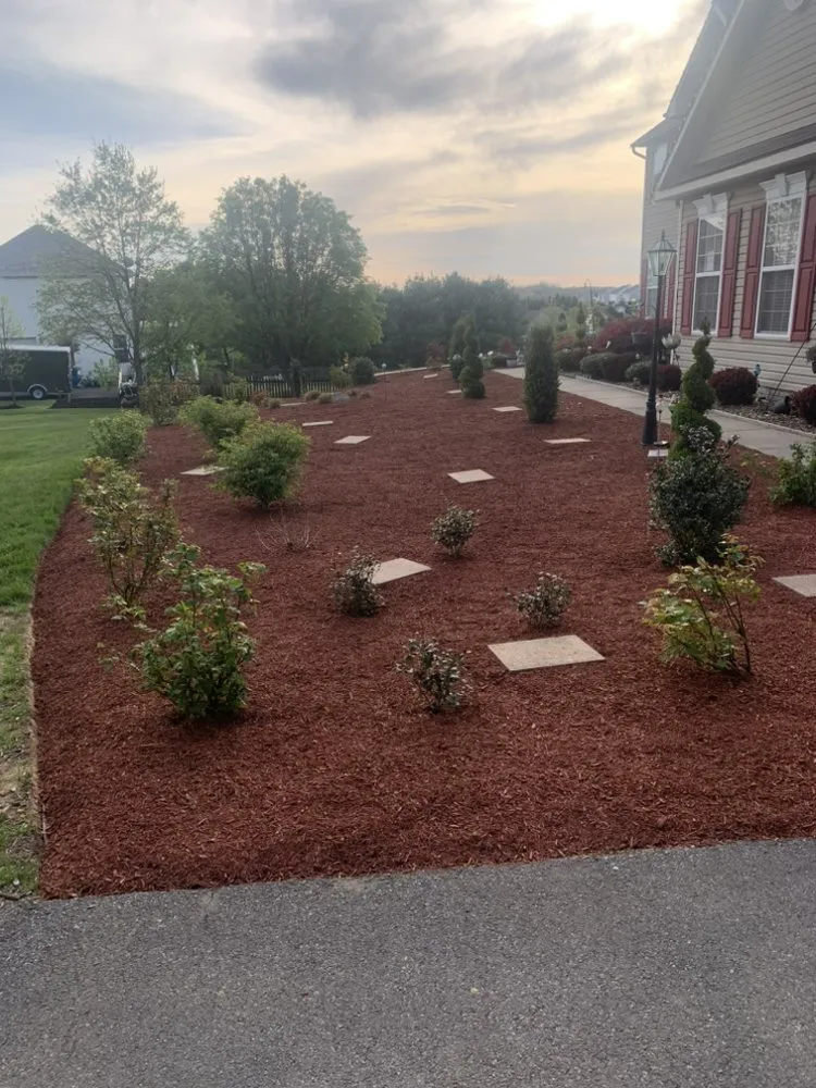 Top-rated yard maintenance experts serving White Post, VA - ALC Lawn Service