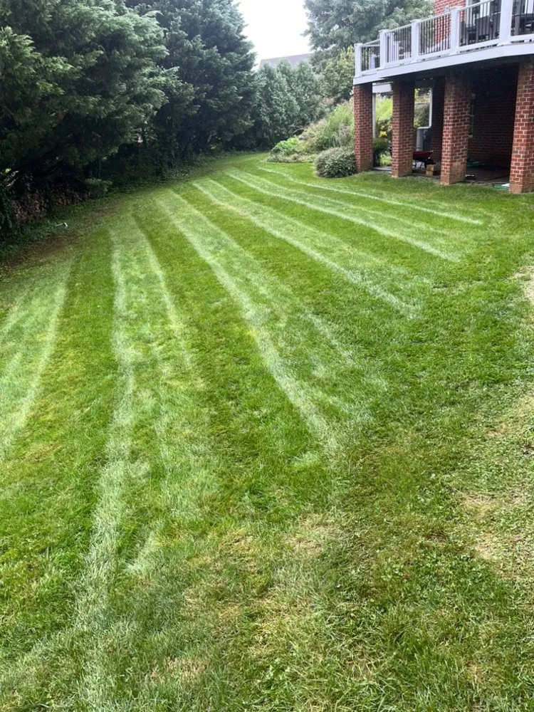 Affordable yard cleanup service in White Post, VA - ALC Lawn Service