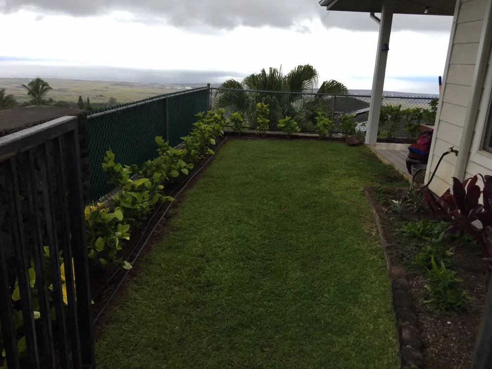 Top-rated outdoor landscaping for year-round maintenance in Kailua-Kona, HI by Alcain Landscaping