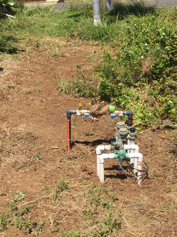 Trusted yard cleanup service experts serving Kailua-Kona, HI - Alcain Landscaping