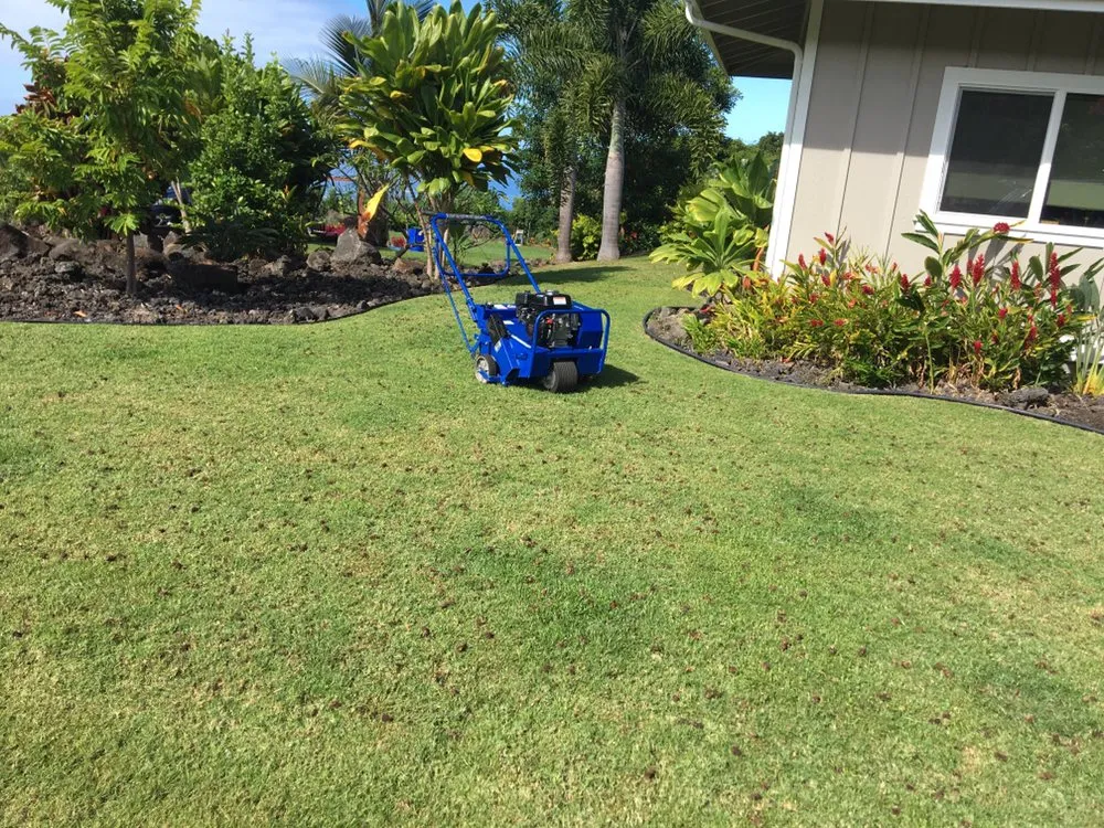 Custom landscape installation for outdoor upgrades across Kailua-Kona, HI - Alcain Landscaping