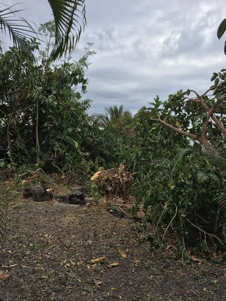 Expert lawn care service in Kailua-Kona, HI - Alcain Landscaping