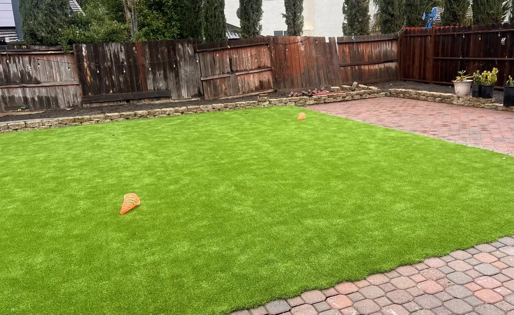 Professional yard maintenance experts serving Stockton, CA - Alcala Landscape