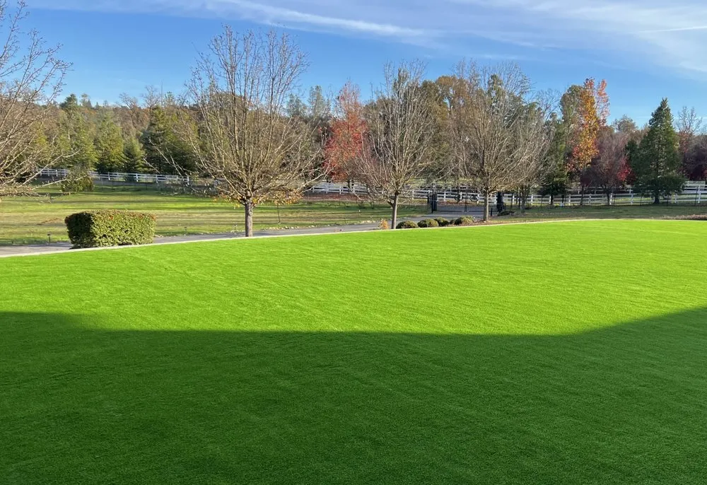 Custom residential landscaping in Stockton, CA by Alcala Landscape