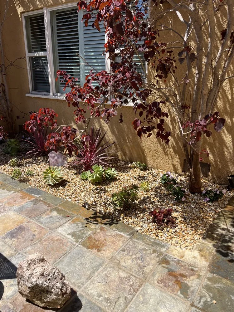 Top-rated outdoor landscaping near you in Los Angeles, CA by Alcala Landscape y Mas