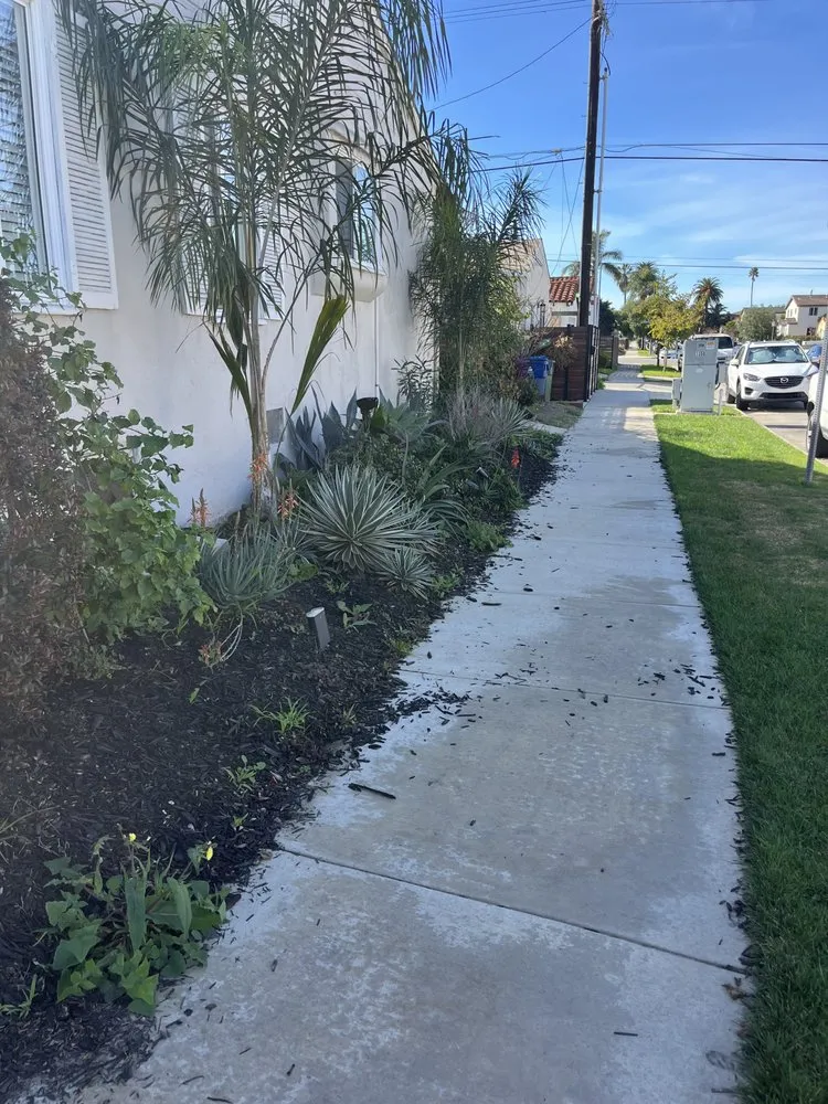 Professional landscaping services in Los Angeles, CA - Alcala Landscape y Mas