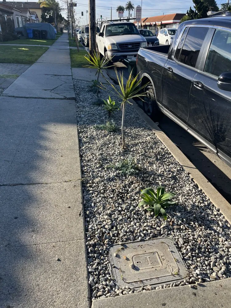 Top-rated garden landscaping for beautiful yards in Los Angeles, CA by Alcala Landscape y Mas