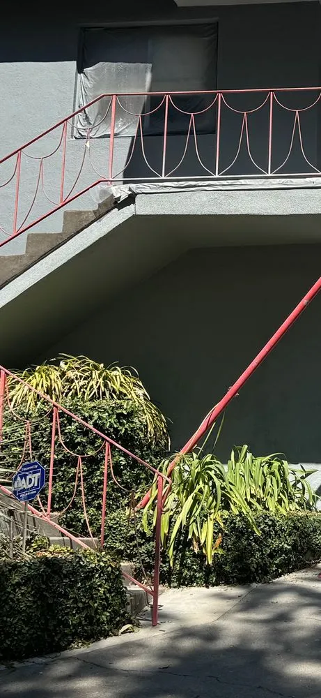 Custom yard maintenance in Los Angeles, CA - Alcala Landscape y Mas