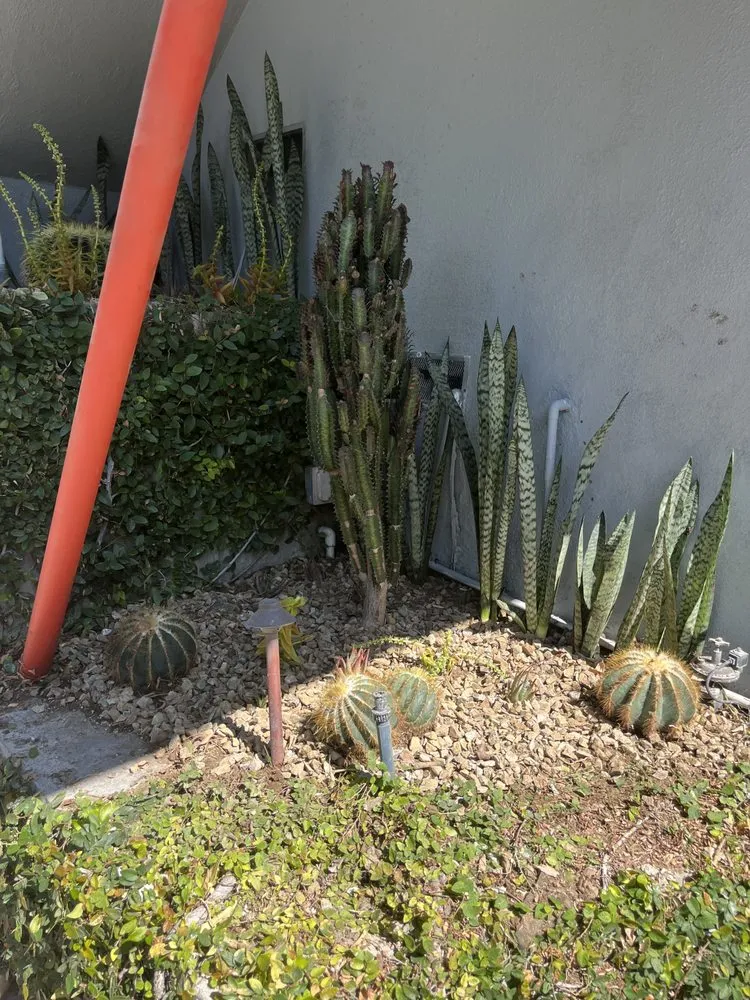 Local lawn care service experts serving Los Angeles, CA - Alcala Landscape y Mas