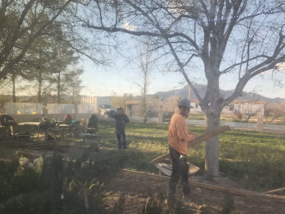 Professional landscaping services in Los Angeles, CA by Alcala Landscape y Mas