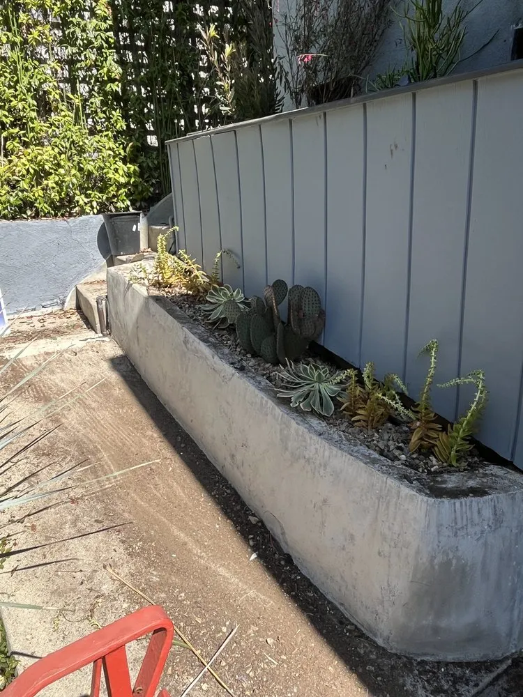 Professional yard cleanup service for beautiful yards across Los Angeles, CA - Alcala Landscape y Mas