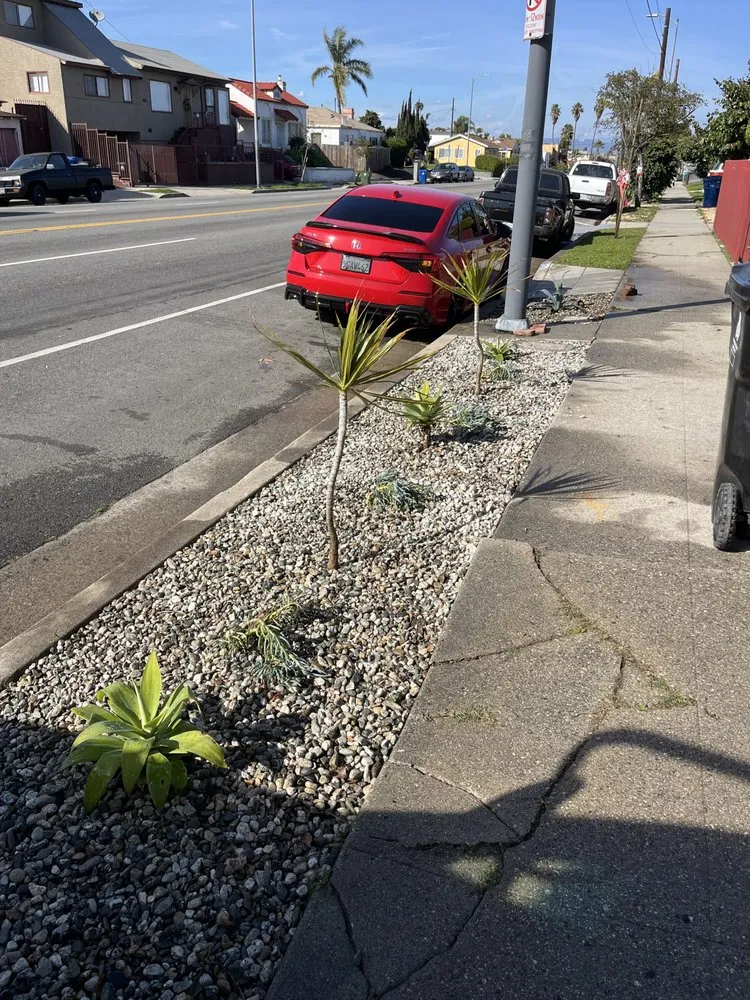 Affordable residential landscaping in Los Angeles, CA by Alcala Landscape y Mas