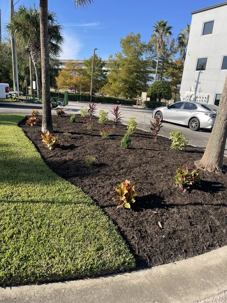 Reliable landscape design in Jacksonville, FL - Alcantara Landscaping