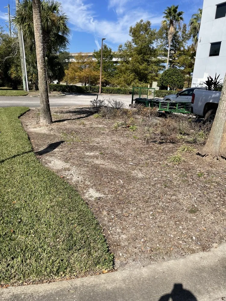 Top-rated lawn mowing service in Jacksonville, FL by Alcantara Landscaping